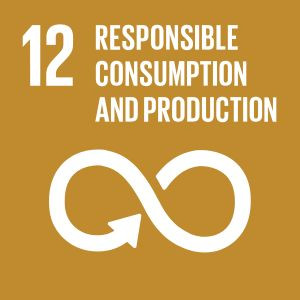 SDG 12 - Responsible Consumption &amp;  Production