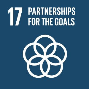 SDG 17 - Partnerships for the Goals